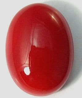 Red Coral