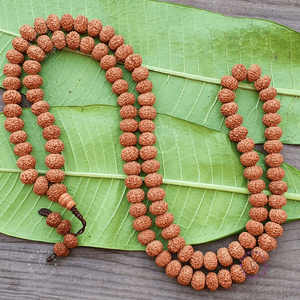 7 Mukhi Rudraksha Mala