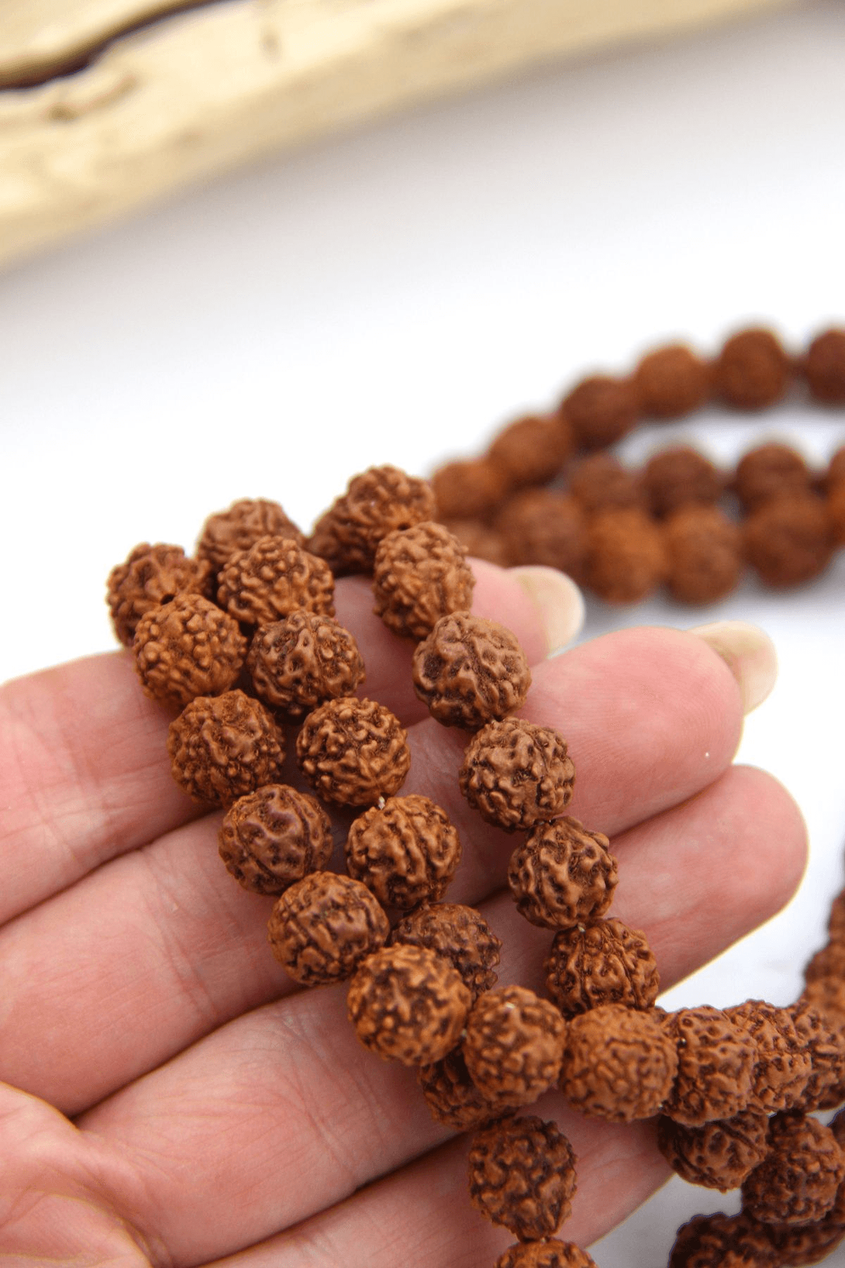 108 Beads Rudraksha Mala