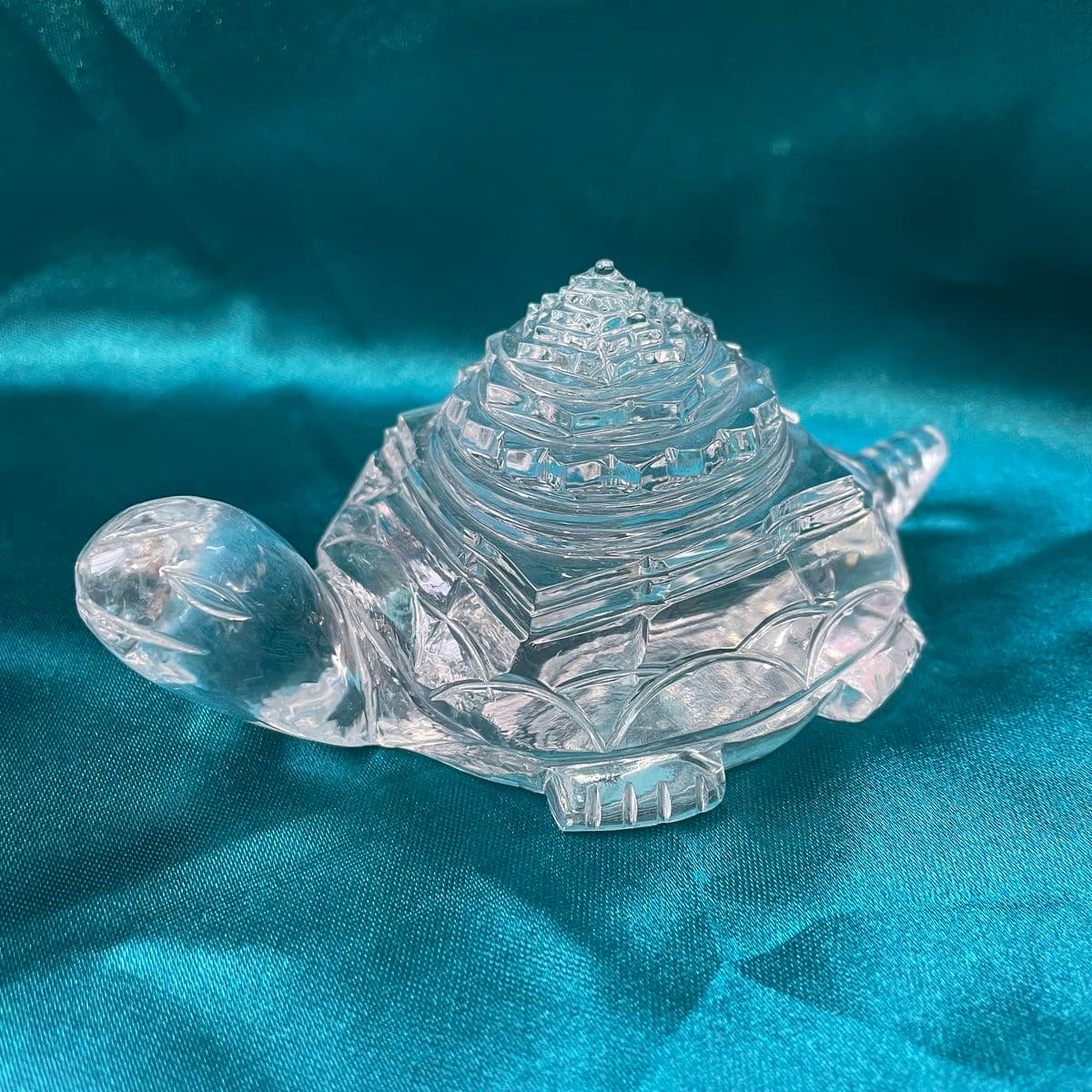 Crystal/Spatik Tortoise