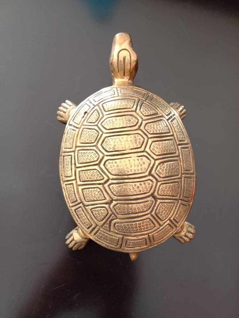 Vastu Tortoise
